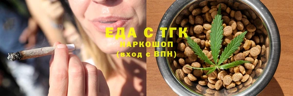спиды Ельня