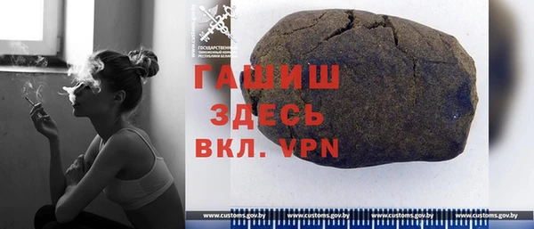 спиды Ельня