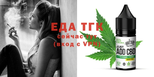спиды Ельня