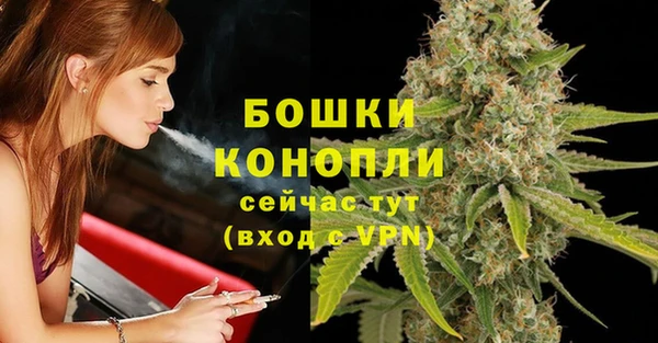 спиды Ельня