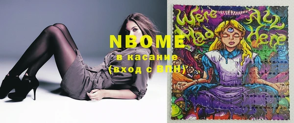 прущие грибы Заволжск