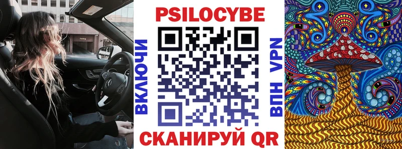 Псилоцибиновые грибы прущие грибы  Енисейск 